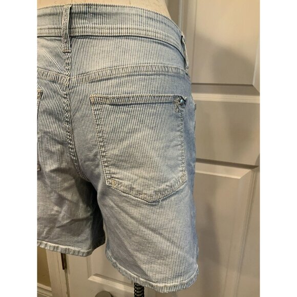 Pilcro and the Letterpress Blue & White Striped "Hyphen Fit" Shorts, Size 28 - Picture 5 of 7